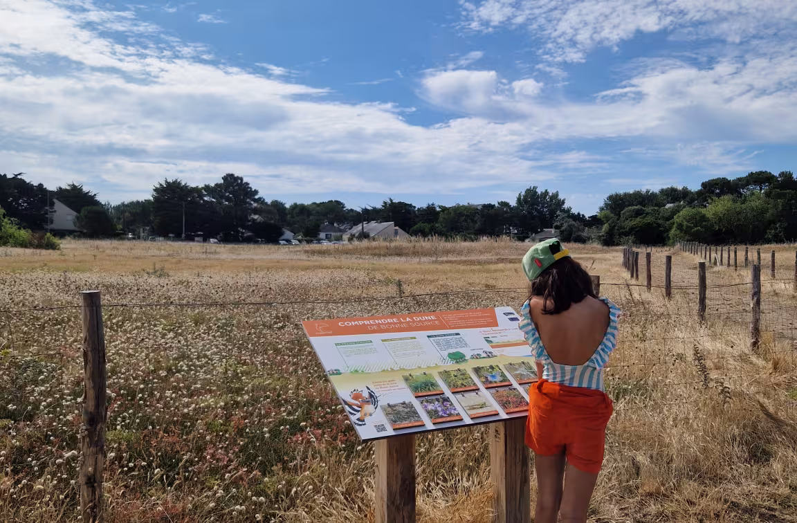 Parcours pédagogique de la dune grise de bonne source