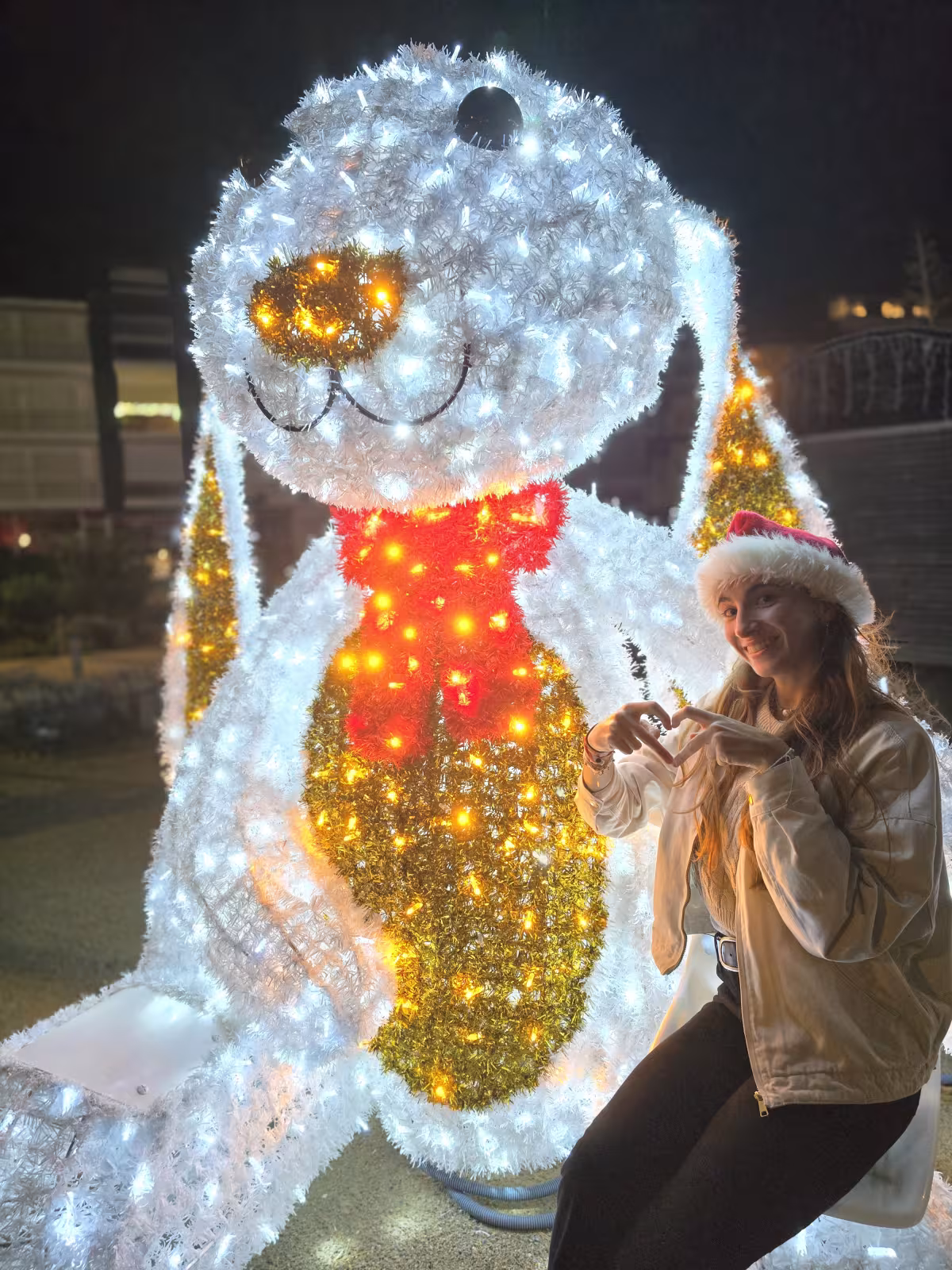 lapin noel