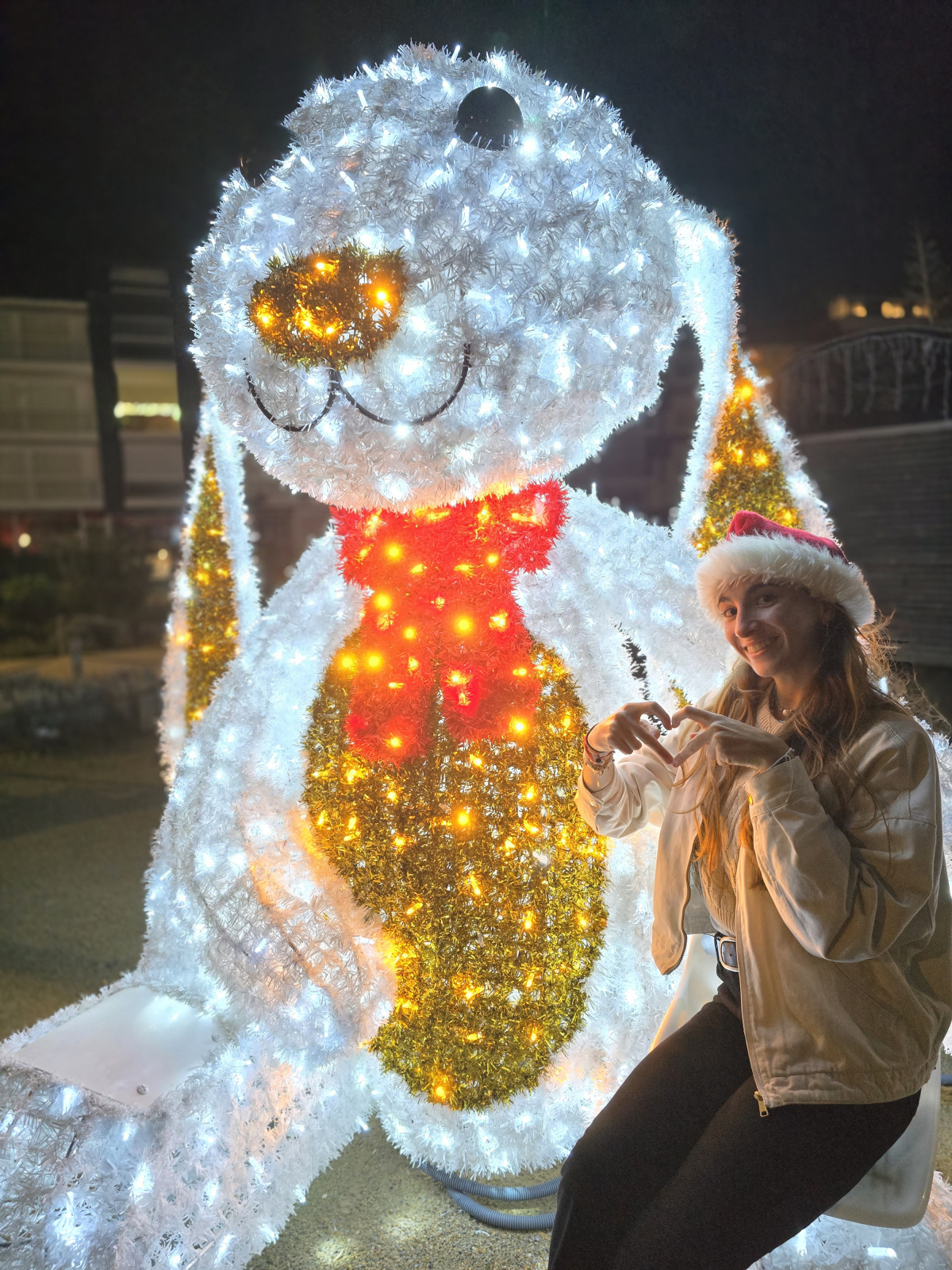 lapin noel