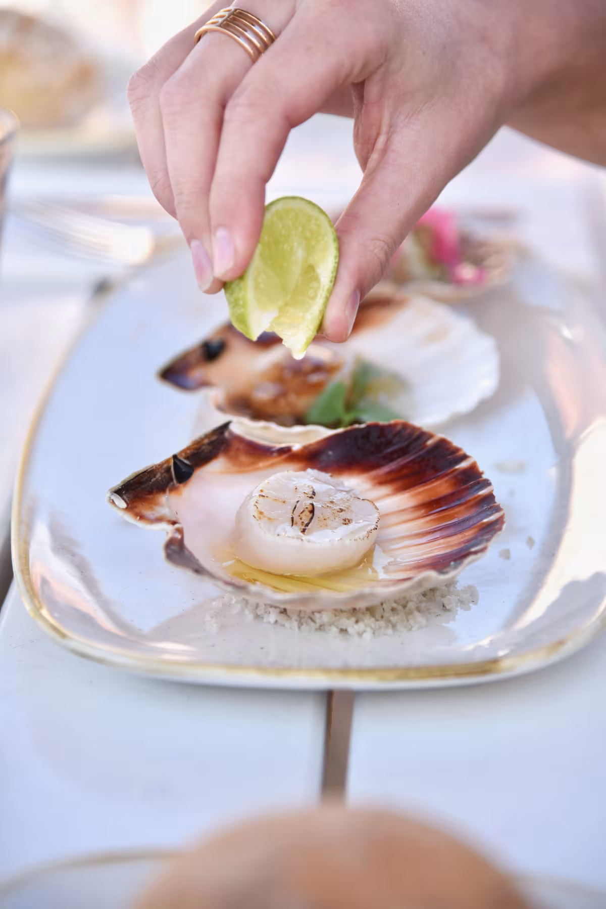 coquille Saint-Jacques