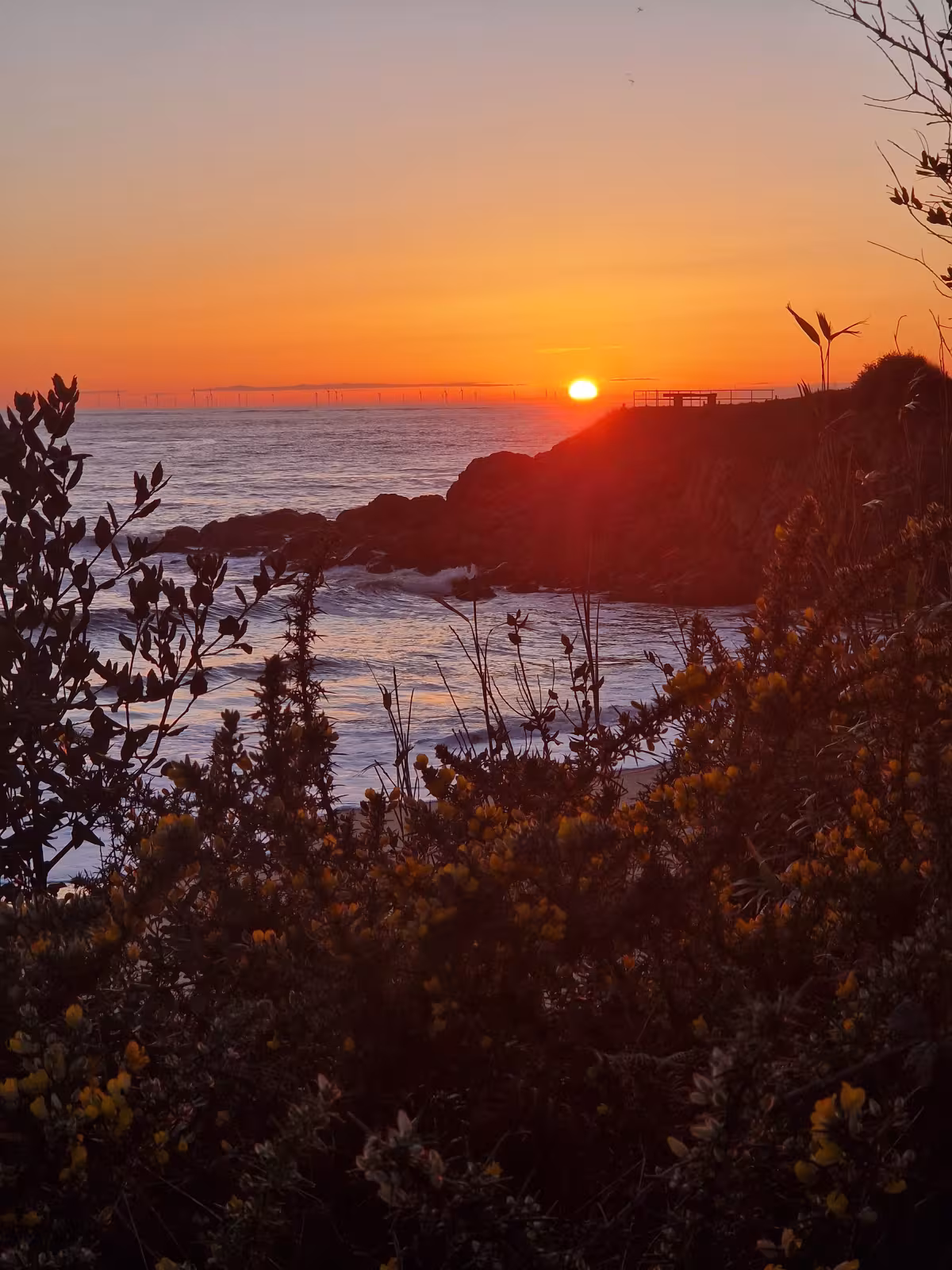 sunset orange 