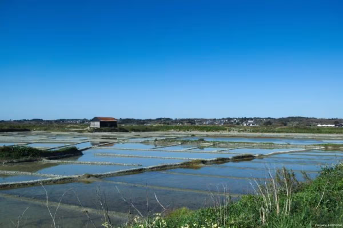 marais salants
