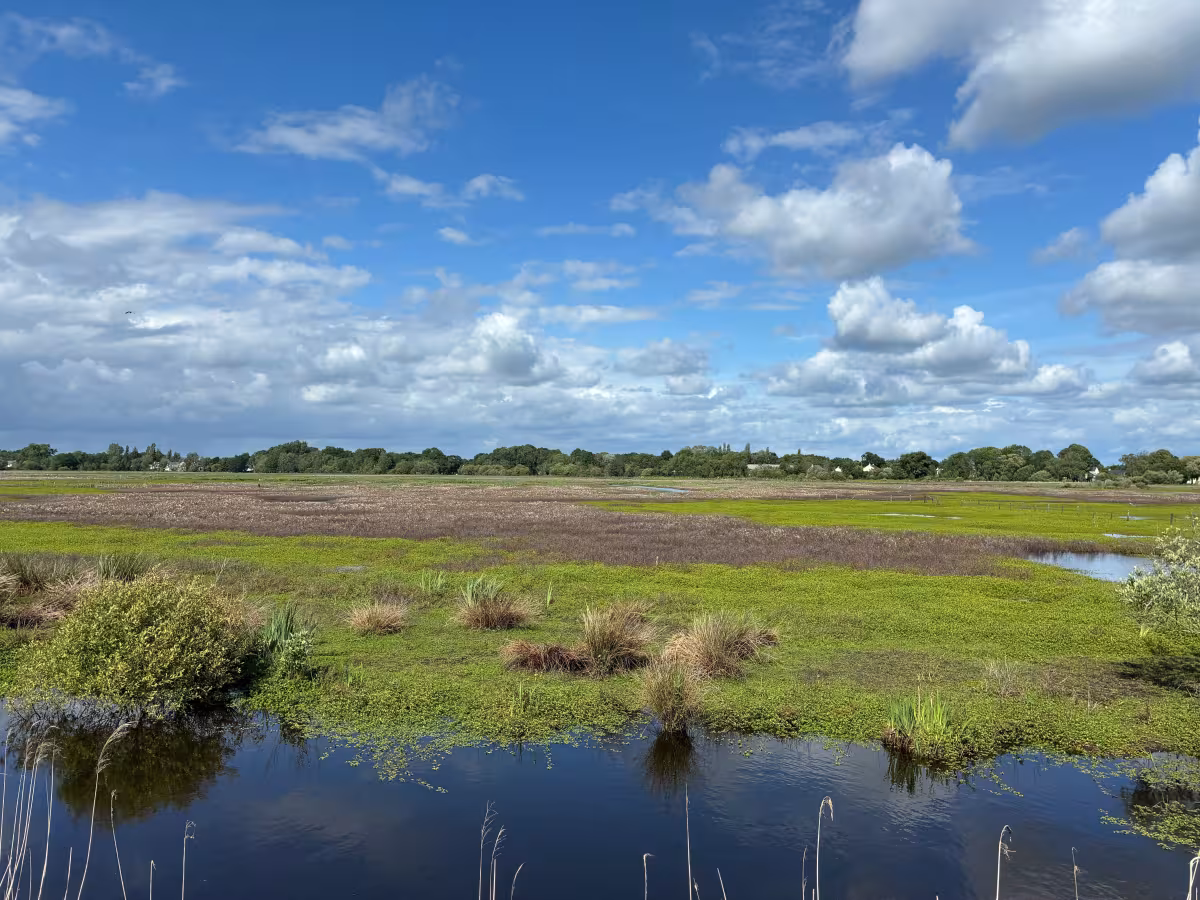 Prairie Brière