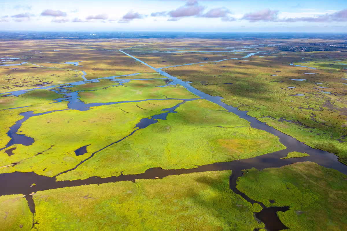 Vue aérienne marais de Brière