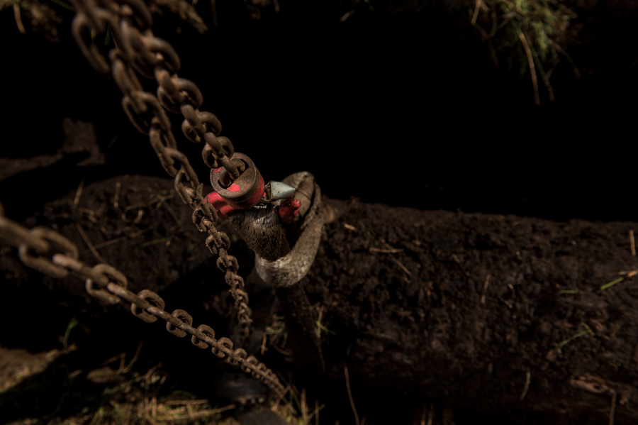 Extraction d'un tronc d'arbre