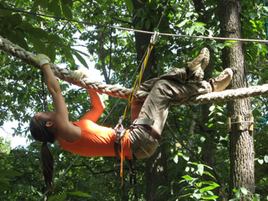 Femme dans parcours arbre