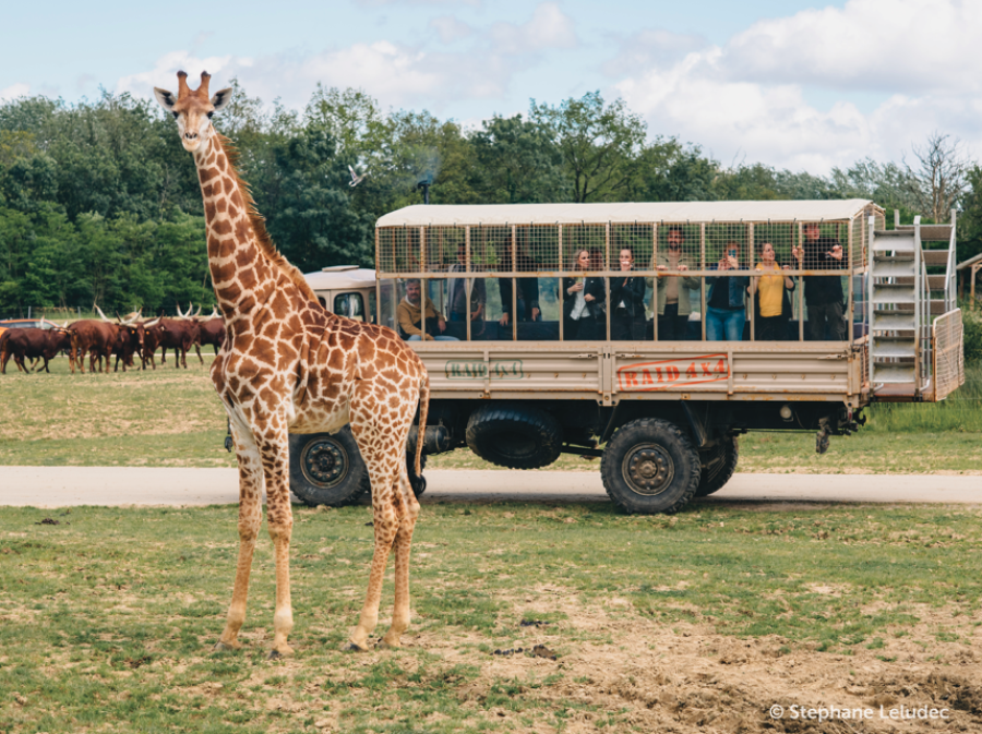 Visite en 4x4 de brousse