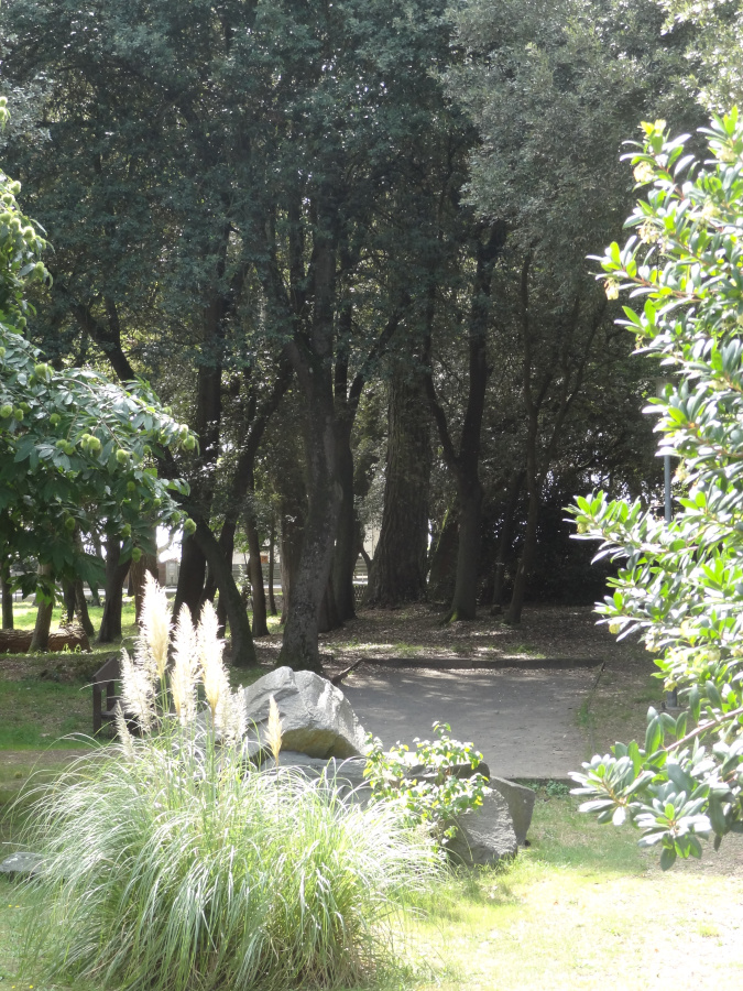 Terrain de pétanque