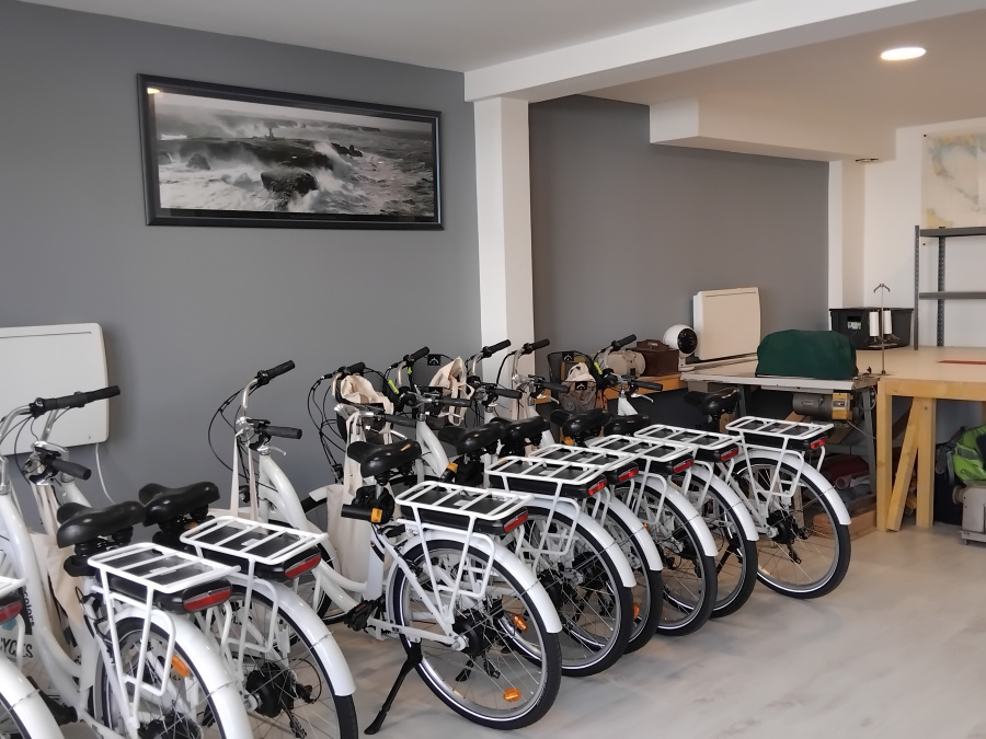 Vélos présentés dans le magasin