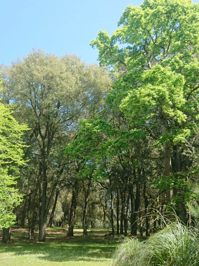 Parc les jardins de Juliette
