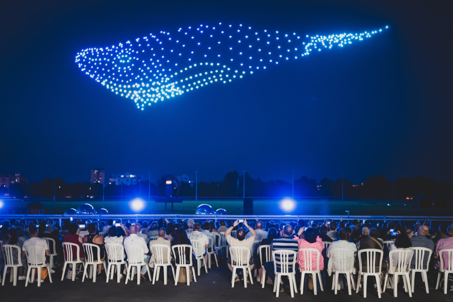 Baleine