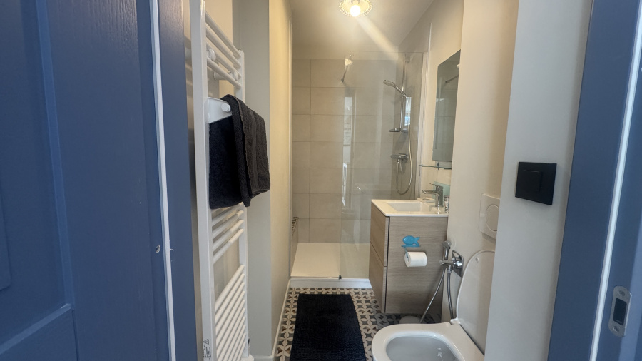 Salle d'eau avec toilettes