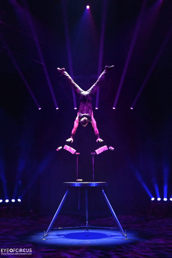 Acrobates