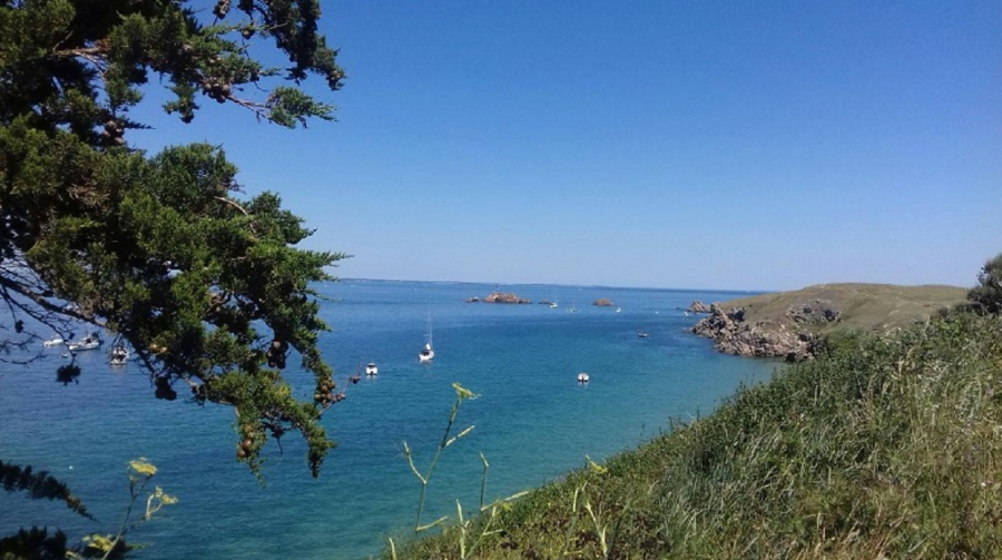 Paysage avec la côte sauvage et la mer