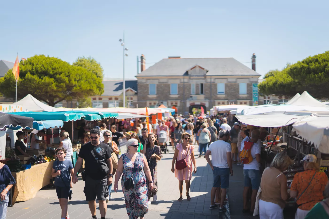 Cobsommer local - Photographe Mathieu Lumen