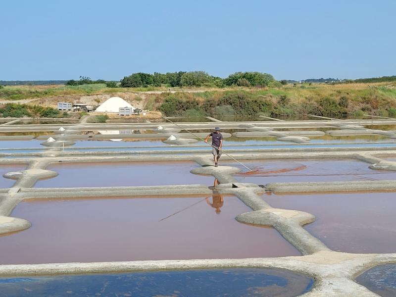 marais salants