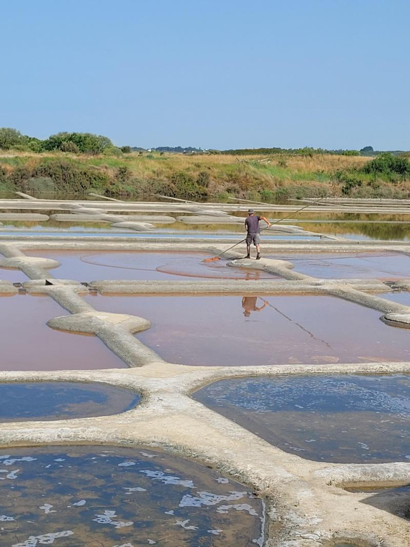 Marais salants de Guerande ©pornichet tourisme