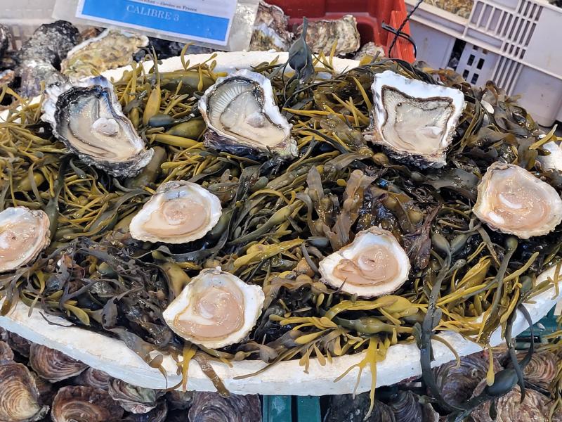 huîtres pornichet