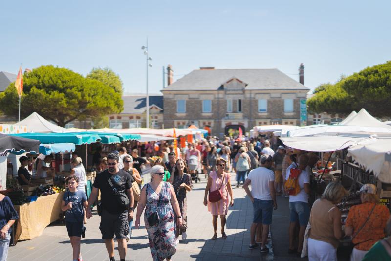 Cobsommer local - Photographe Mathieu Lumen