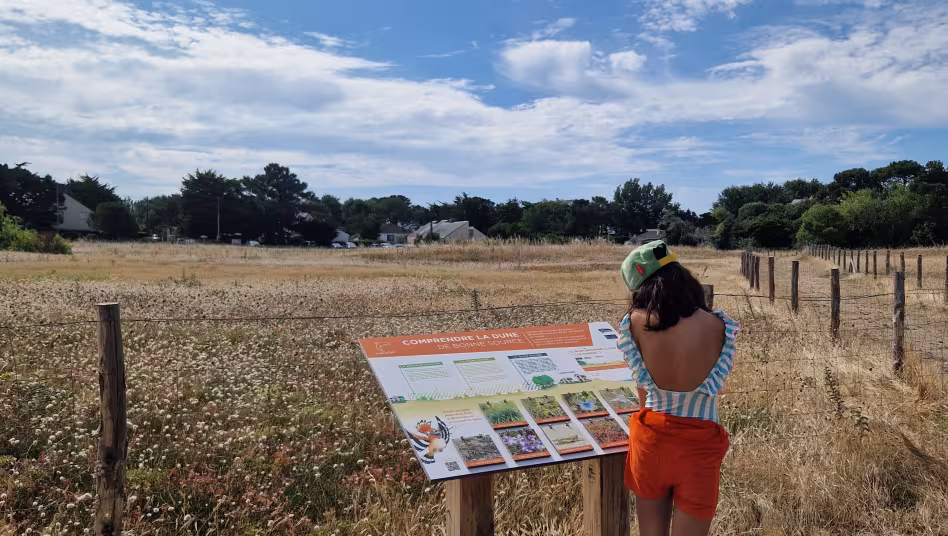 Parcours pédagogique de la dune grise de bonne source