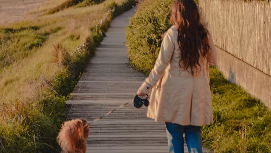 sentier chien