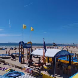 club de plage des dauphins sur la plage des Libraires