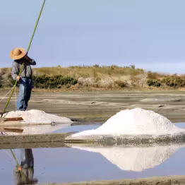 paludier dans les marais salants