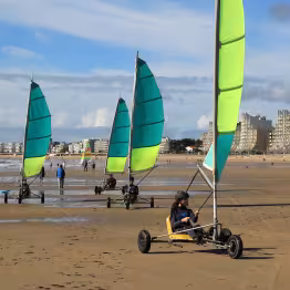 char voile