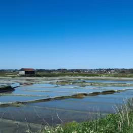marais salants