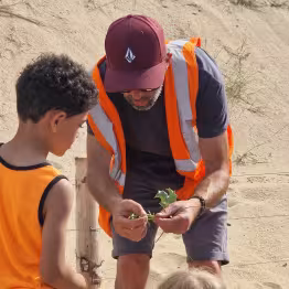 visite dune
