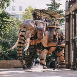 Grand éléphant