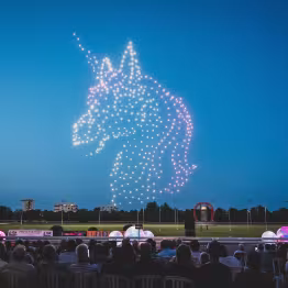Licorne