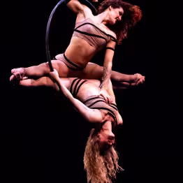 Acrobates