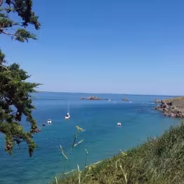 Paysage avec la côte sauvage et la mer