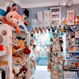 Rayon du magasin