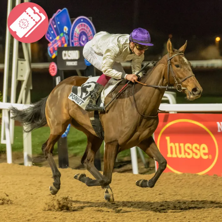 Association des courses - Hippodrome de Pornichet