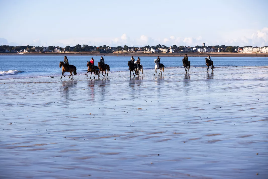 Centre équestre Le Manège des Platanes