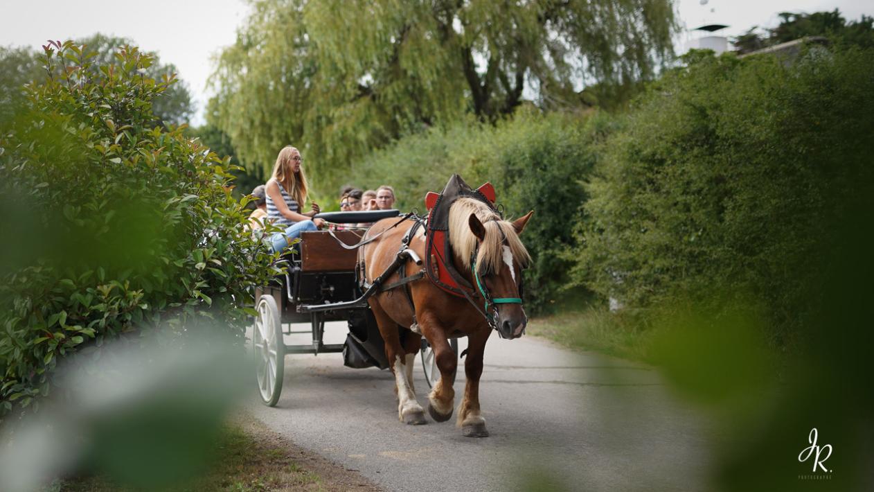 Les calèches Briéronnes Les calèches Briéronnes