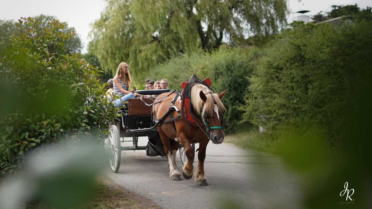 Les calèches Briéronnes