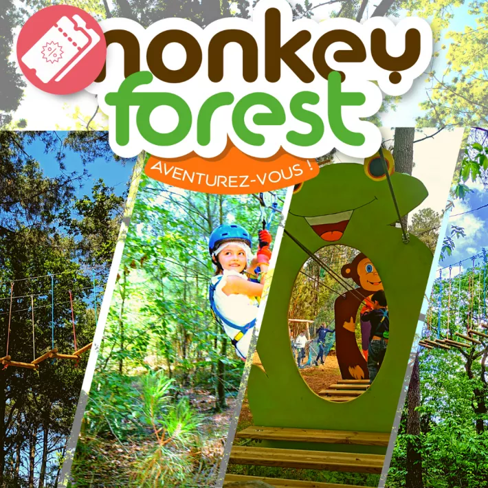 Monkey Forest logo billetterie Monkey Forest logo billetterie