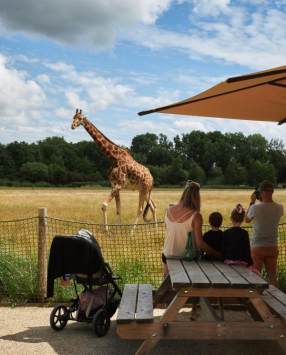 Parc animalier et botanique de Branféré