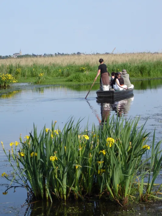 Valérie AOUSTIN-HUARD 5