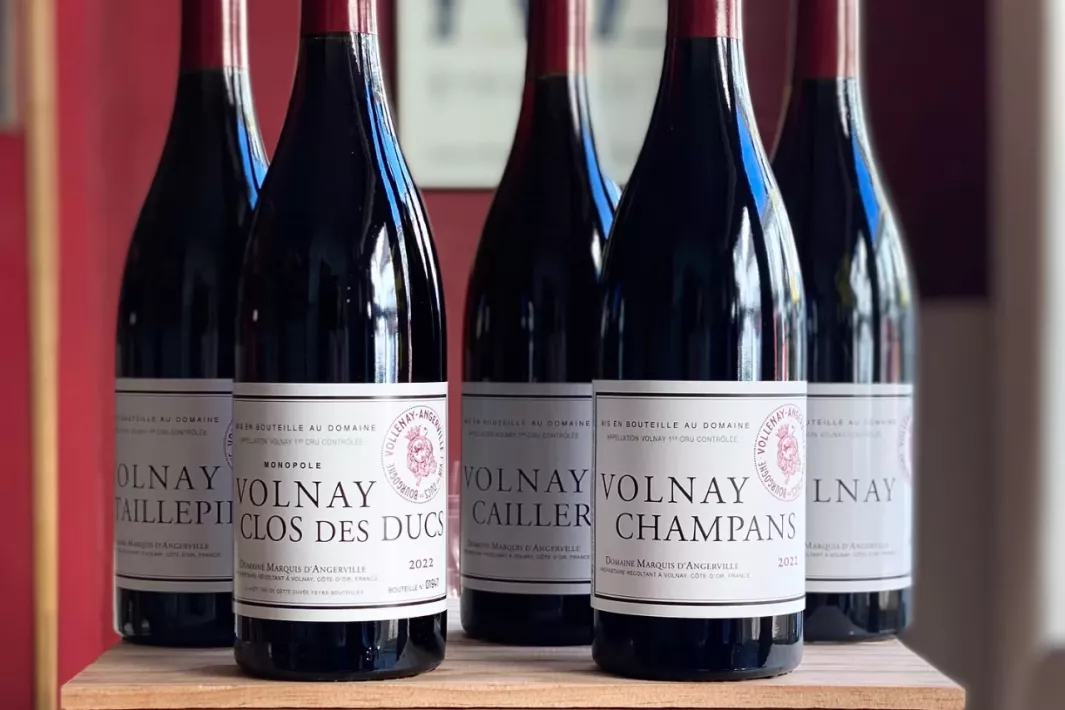 Ateliers de dégustation : La Route des Vins