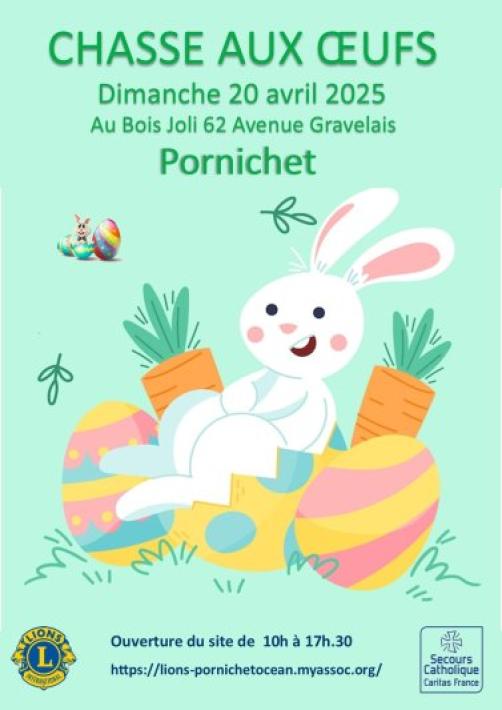 chasse-aux-oeufs-4997902