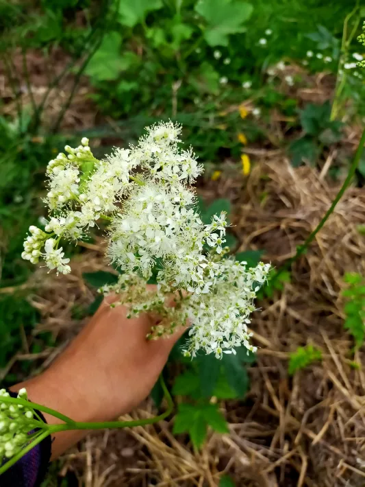 Les secrets de la nature