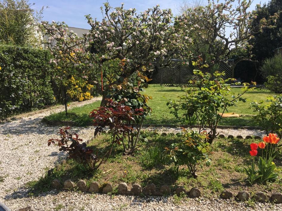 MARRAST jardin arbre fruitier MARRAST jardin arbre fruitier