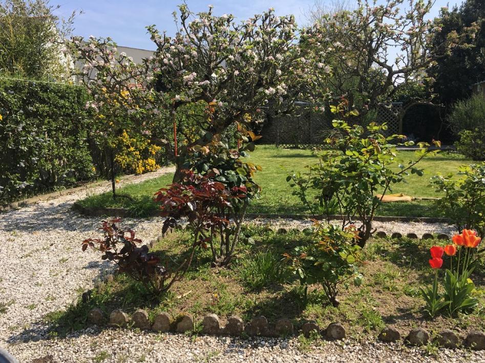 MARRAST jardin arbre fruitier