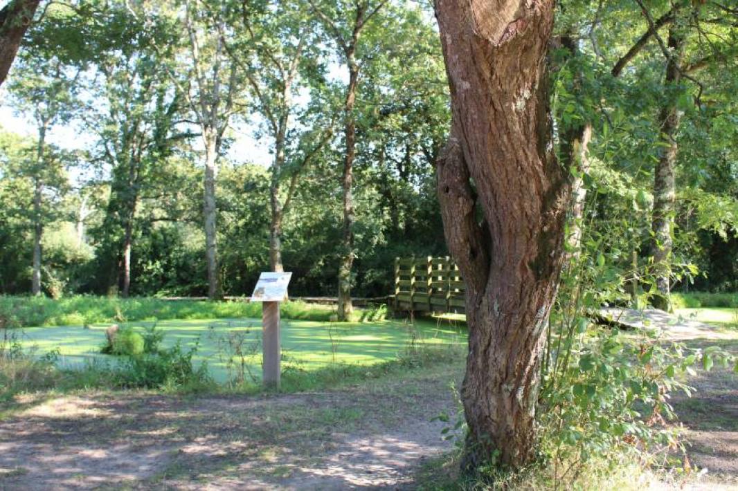 Visite guidée pornichet côté campagne