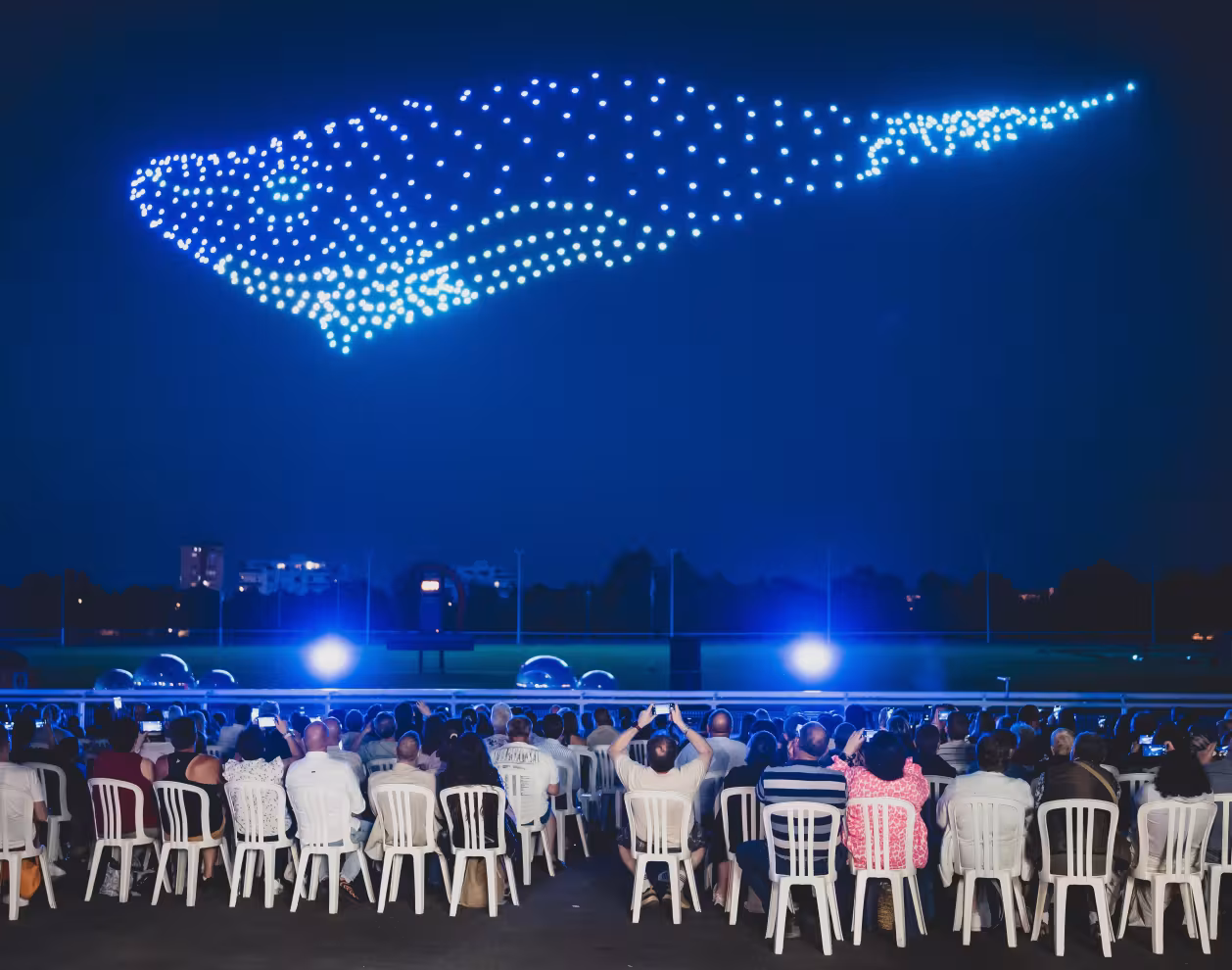 Baleine