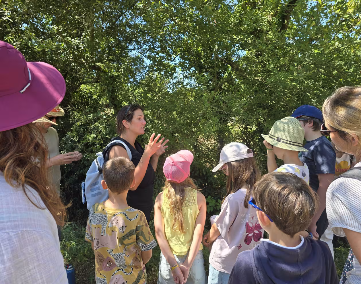 Visite guidée nature